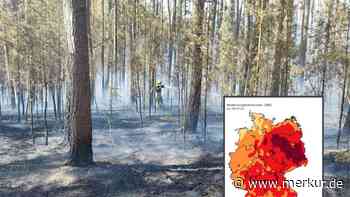 Extreme Waldbrandgefahr in Bayern: DWD ruft für das Wochenende höchste Warnstufe aus