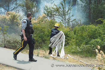 Nanaimo man charged with arson after fires along Nanaimo Parkway