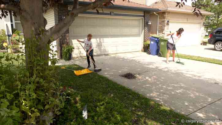 Cleanup underway after evening thunderstorm hits communities in Calgary