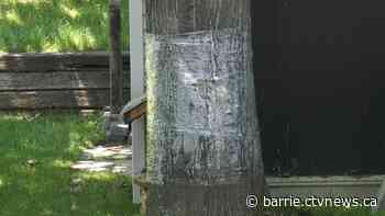 Canada's 2nd case of invasive species oat wilt is confirmed in Simcoe County