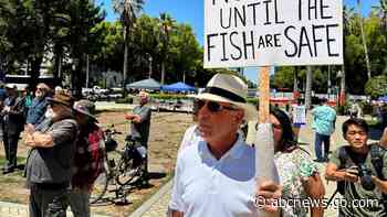 California Gov. Gavin Newsom's climate agenda highlights tensions with environmental groups