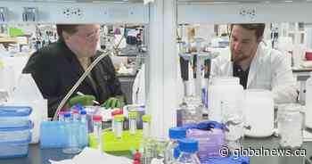 Mpox DNA targeted by University of Lethbridge researchers