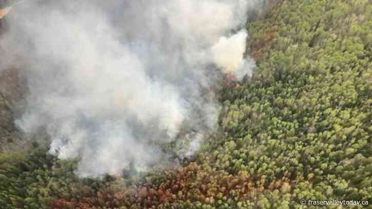 Spallumcheen, B.C., orders evacuation for 18 properties as lightning triggers fire
