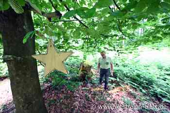 Ein Baum für trauernde Eltern von Sternenkindern