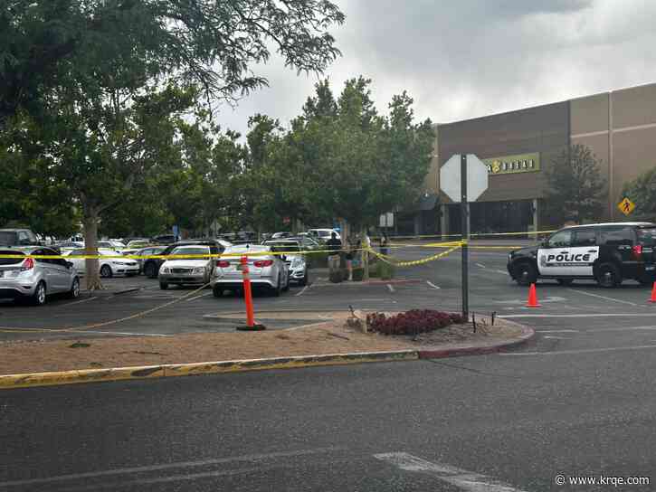 Shooting in Coronado Mall parking lot started with attempted carjacking