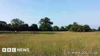 Wenny Meadows: Campaigners plan judicial review over Chatteris development