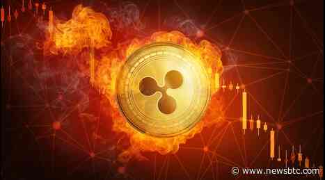 XRP Next Step: Here’s Why An Upward Move Could Be Likely