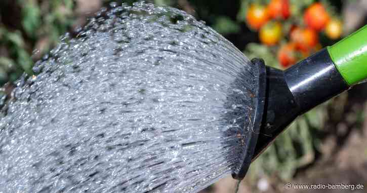 Gartenbesitzer informieren sich über Trockenheit