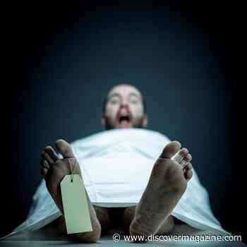 The Rare Walking Corpse Syndrome: How Could Someone Feel Dead?