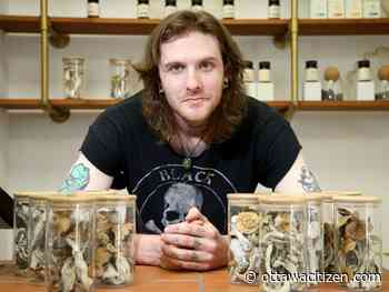 Deachman: Magic mushroom shops 'a grey area' that few are willing to talk about