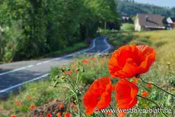 Diemelradweg: Tourismusmotor läuft in Warburg gut
