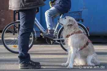 Große Mehrheit für den Hundeführerschein