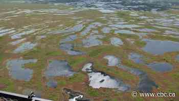 Peatlands are a massive carbon sink, but they are burning more often due to climate change