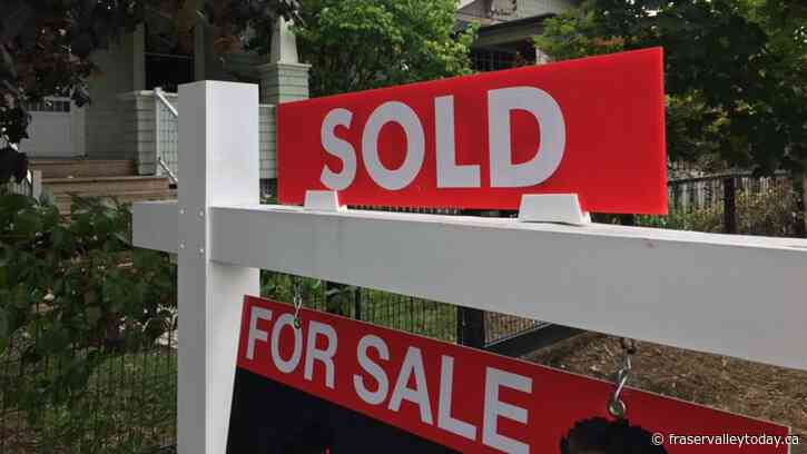 Real Estate President sees positive signs in Chilliwack real estate market