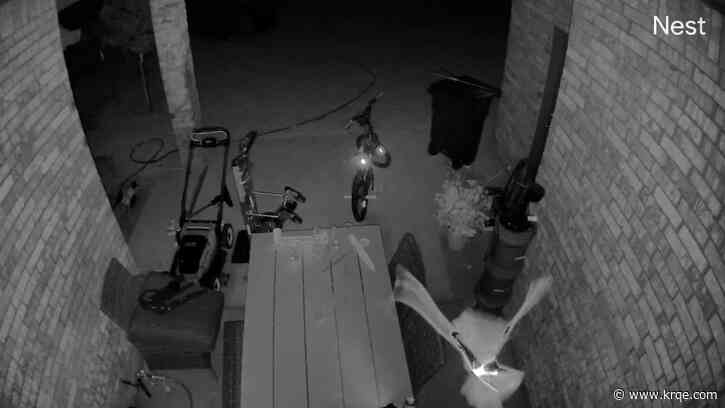 Mysterious flying creature terrorizing Oklahoma family at night