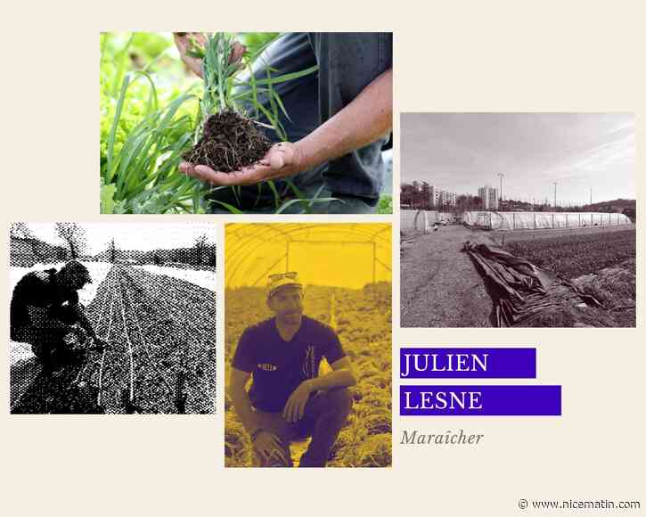 "Avec les aléas du climat, l’agriculture c’est de la haute voltige!": ce maraîcher azuréen raconte comment il fait face à la sécheresse