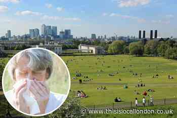 Wimbledon Common named London park with lowest pollen count