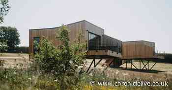 County Durham farm launches 'luxury' treehouses and lodges aimed at couples