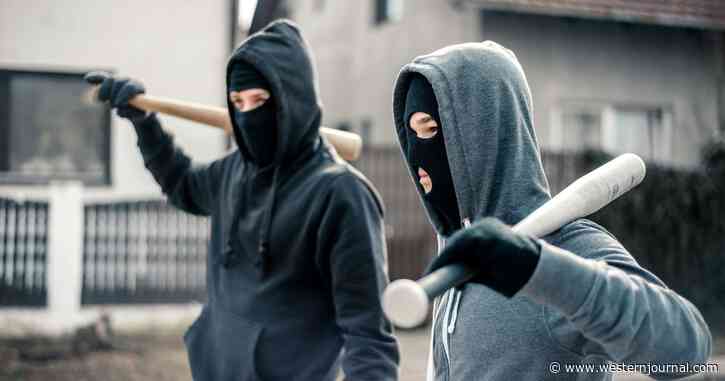 San Francisco Moms Mugged by Kids with Baseball Bats, What Could Be to Blame Here Is Disturbing