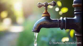 Denver Metro counts its water savings after wet year