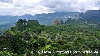 Nickel-Abbau für Elektroautos bedroht die Regenwälder Indonesiens
