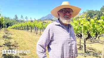 Californian winemakers are learning firefighting techniques