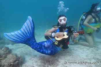 Underwater Music Show in the Florida Keys Promotes Awareness of Coral Reef Protection