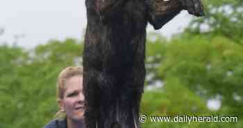 Dog Days of Summer brings smiles and wagging tails