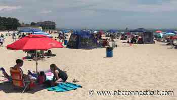 Two Glastonbury men accused of seriously injuring egret