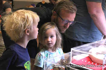 Snakes and lizards among species at reptile expo in Nanaimo