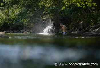 Environment Canada issues heat warnings for B.C., parts of Alberta and the North