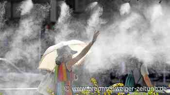 Tokio rüstet sich mit neuen Ideen gegen unerträgliche Hitze