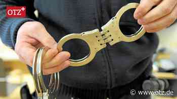 Kriminelles aus Ostthüringen: 750.000 Euro hinterzogen, Hundewelpen geschmuggelt und Penisbilder verschickt