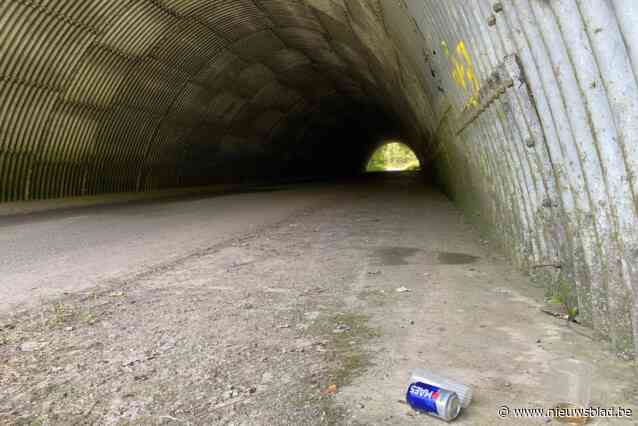 Illegaal feestje onder E40 niet het eerste volgens buurtbewoners: “Tunnels spreken tot de verbeelding”