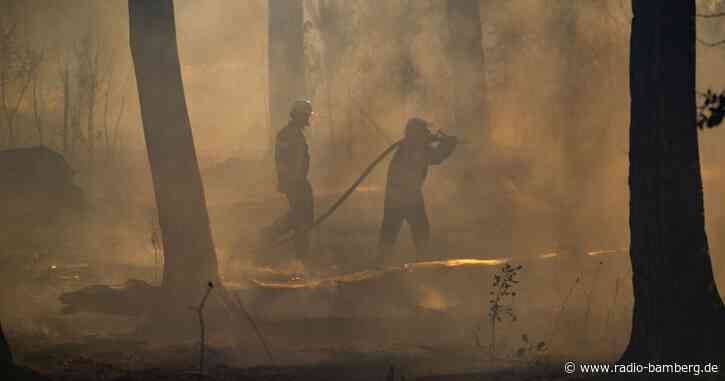 5000 Quadratmeter Wald in Neukirchen-Balbini abgebrannt