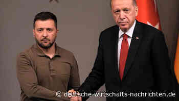 Russland: Türkei verletzt mit Freilassung Kriegsgefangener Abkommen