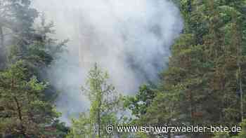 Waldbrand in Calw: Jeder Funke kann derzeit ein Feuer verursachen