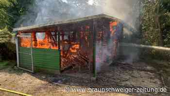 Grillhütte in Wolfsburg steht in Flammen