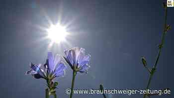 Unwettergefahr am Sonntag? So sieht es für Helmstedt aus