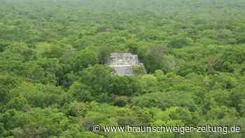 Tief im Dschungel: Archäologe findet erstaunliche Maya-Stadt
