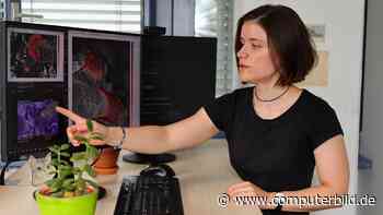 Grüne KI: Künstliche Intelligenz hilft beim Umweltschutz