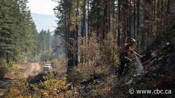 Firefighters across Canada focusing more on mental health as wildfire seasons worsen