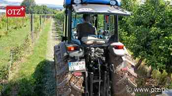 Weshalb man in Schöngleina in Bewässerungsfragen auf Technik aus Israel setzt