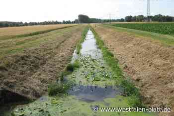 Espelkamp:  Kleine Aue wird weiter naturnah  umgestaltet