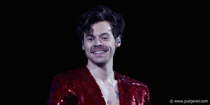 Harry Styles' Fan Hits Singer in the Eye After Throwing Something Onstage During a Concert