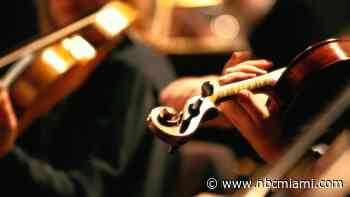 Local youth orchestra wins international competition in Vienna