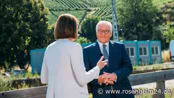 Steinmeier besorgt über hohe AfD-Umfragewerte
