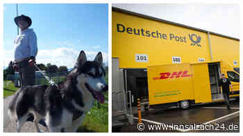 Weniger Zustelltage, mehr Porto: „Absolut gerechtfertigt“ oder „Post spart an falscher Stelle“?