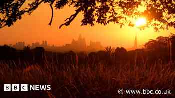 Heatwaves: Why this summer has been so hot