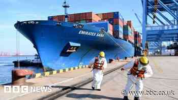 Climate change: Shipping agrees net-zero goal but critics chide deal